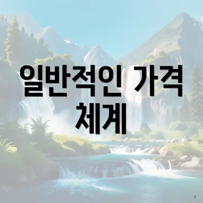 일반적인 가격 체계