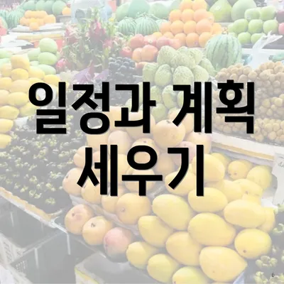 일정과 계획 세우기