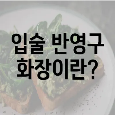 입술 반영구 화장이란?