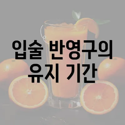 입술 반영구의 유지 기간