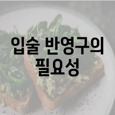 입술 반영구의 필요성