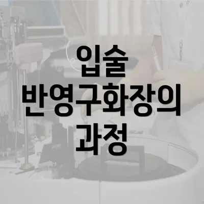 입술 반영구화장의 과정