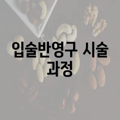 입술반영구 시술 과정