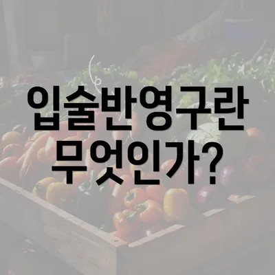 입술반영구란 무엇인가?