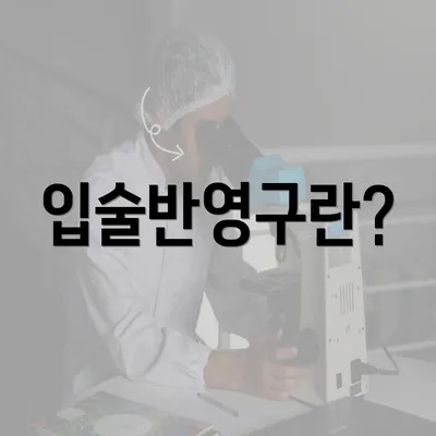 입술반영구란?