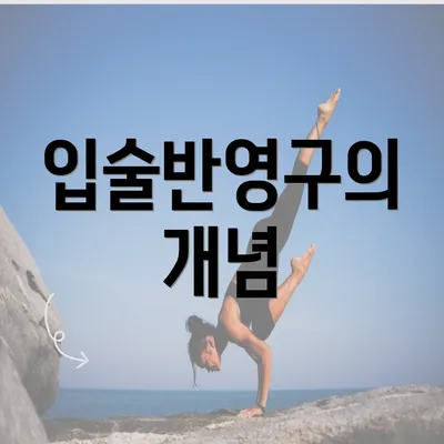 입술반영구의 개념