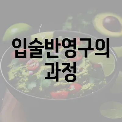 입술반영구의 과정