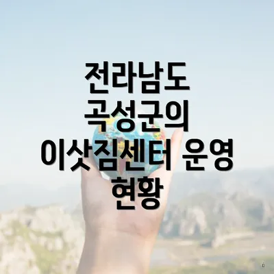 전라남도 곡성군의 이삿짐센터 운영 현황