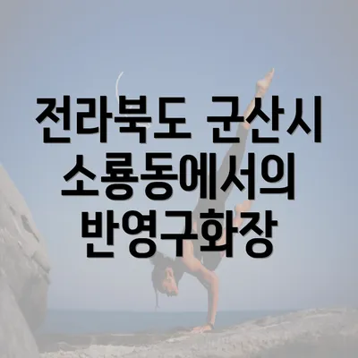 전라북도 군산시 소룡동에서의 반영구화장