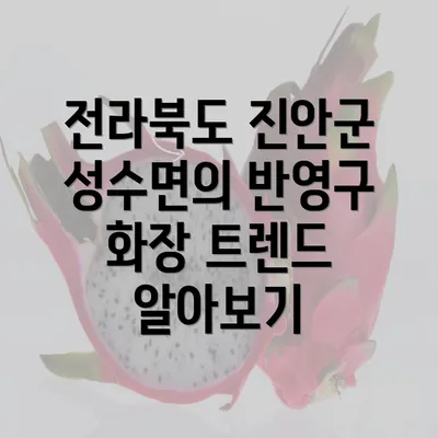 전라북도 진안군 성수면의 반영구 화장 트렌드 알아보기