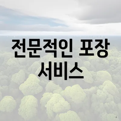 전문적인 포장 서비스