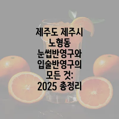 제주도 제주시 노형동 눈썹반영구와 입술반영구의 모든 것: 2025 총정리