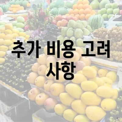 추가 비용 고려 사항