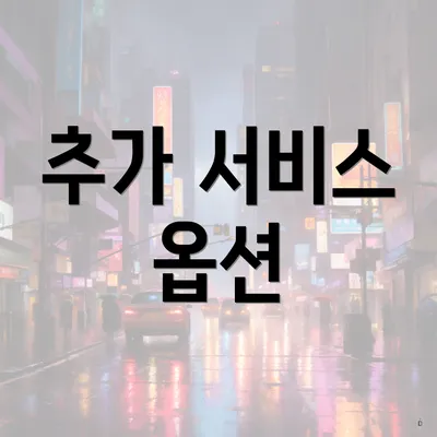 추가 서비스 옵션