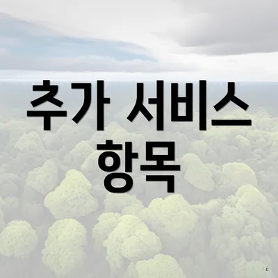 추가 서비스 항목