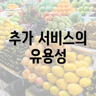 추가 서비스의 유용성