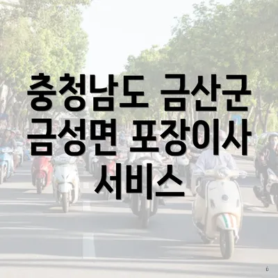 충청남도 금산군 금성면 포장이사 서비스