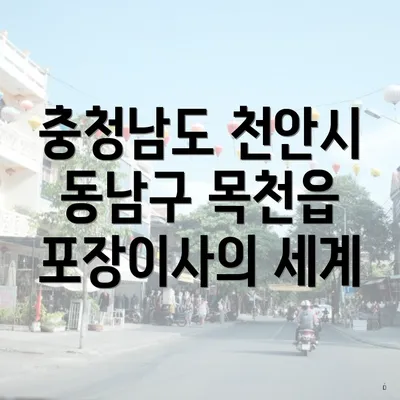 충청남도 천안시 동남구 목천읍 포장이사의 세계