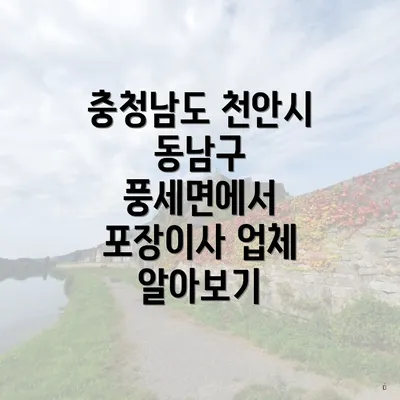 충청남도 천안시 동남구 풍세면에서 포장이사 업체 알아보기