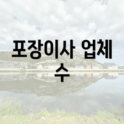 포장이사 업체 수