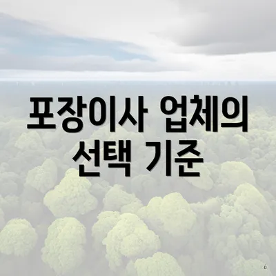 포장이사 업체의 선택 기준