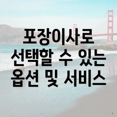 포장이사로 선택할 수 있는 옵션 및 서비스