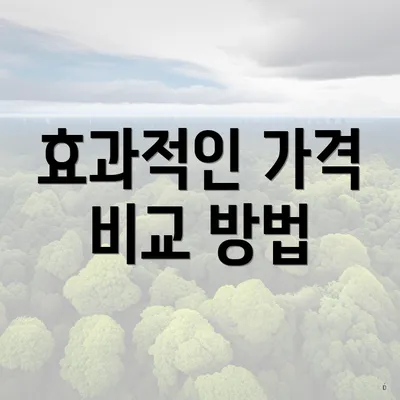 효과적인 가격 비교 방법