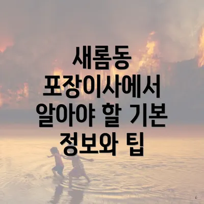 새롬동 포장이사에서 알아야 할 기본 정보와 팁