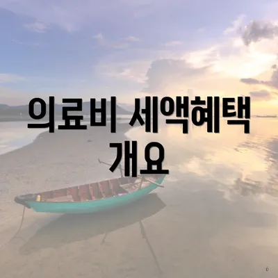 의료비 세액혜택 개요