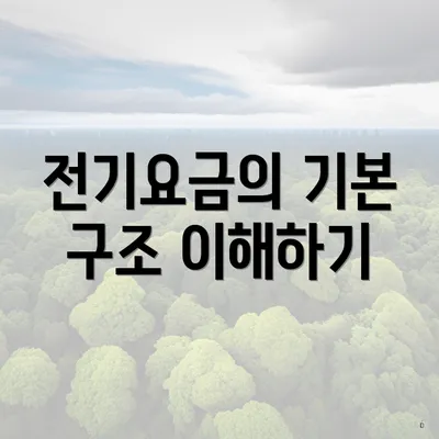 전기요금의 기본 구조 이해하기