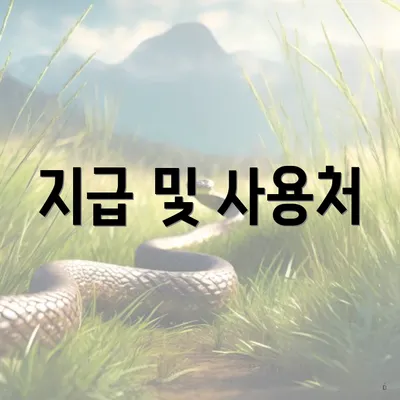 지급 및 사용처