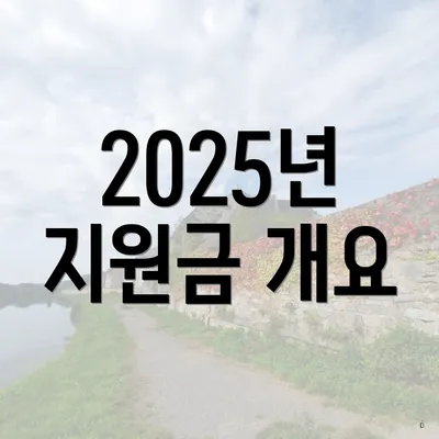2025년 지원금 개요