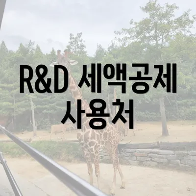 R&D 세액공제 사용처