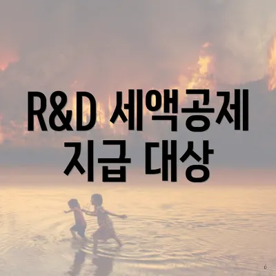 R&D 세액공제 지급 대상