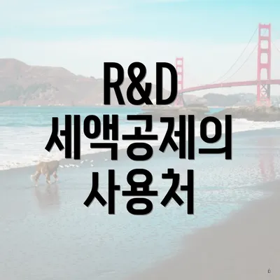 R&D 세액공제의 사용처