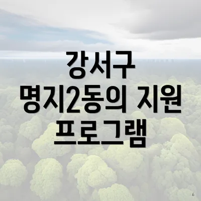 강서구 명지2동의 지원 프로그램