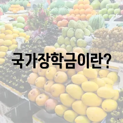 국가장학금이란?
