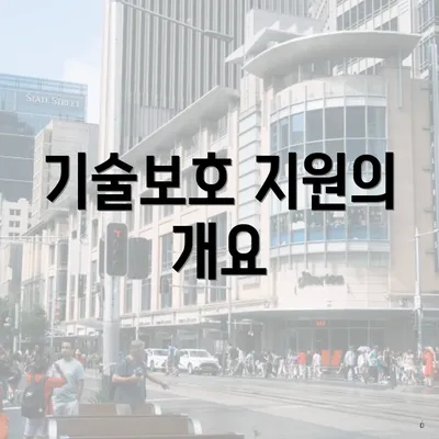 기술보호 지원의 개요