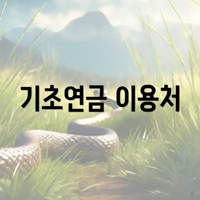 기초연금 이용처
