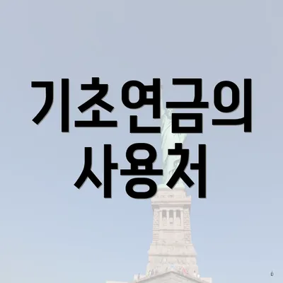 기초연금의 사용처