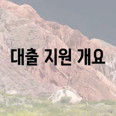 대출 지원 개요