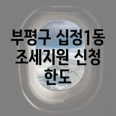 부평구 십정1동 조세지원 신청 한도