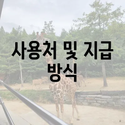 사용처 및 지급 방식
