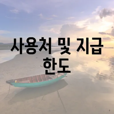 사용처 및 지급 한도