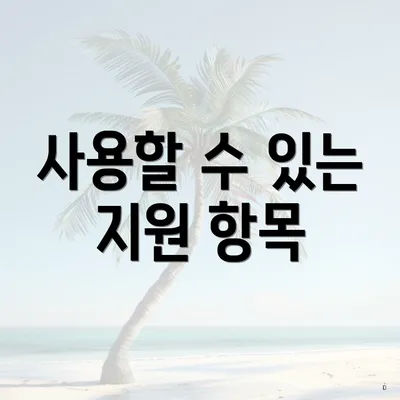 사용할 수 있는 지원 항목