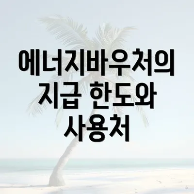 에너지바우처의 지급 한도와 사용처