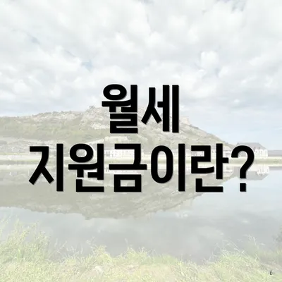 월세 지원금이란?