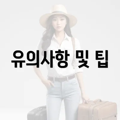 유의사항 및 팁