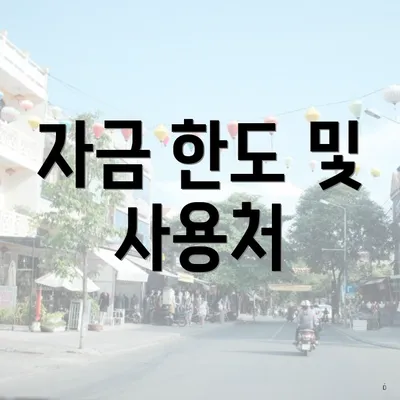자금 한도 및 사용처