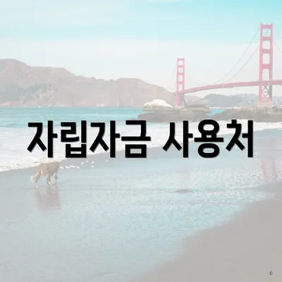자립자금 사용처
